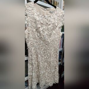 Elegant Eliza J Lace Dress